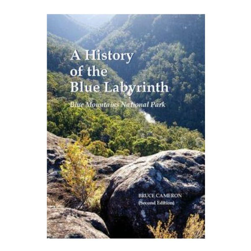 Book The Blue Labyrinth