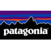 Patagonia Womens Microdini Hoody-Apparel-Blue Mountains Running Company